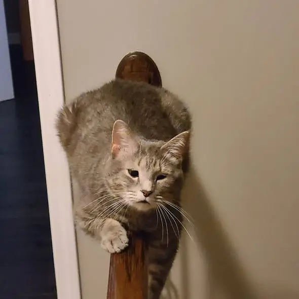 Tex straddling the newel post — his horse, nobody asked