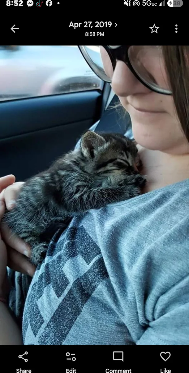 Gizmo tiny — Katie holding him in the car