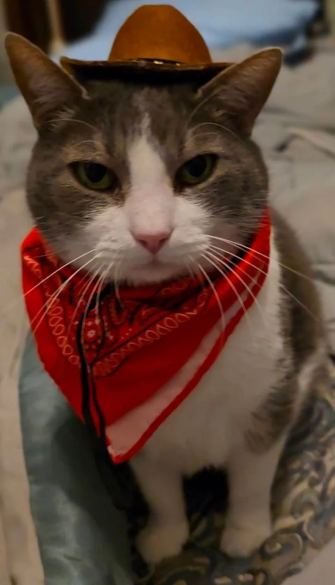 Spitz now — cowboy hat, distinguished